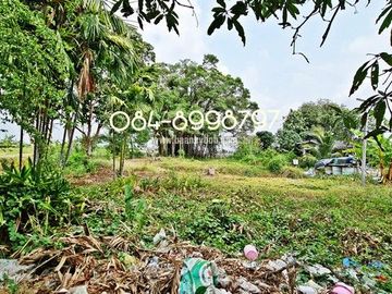 ขายที่ดิน บางพลี เนื้อที่ 10-1-24 ไร่ ต.ศรีษะจระเข้ใหญ่ บางเสาธง บางนา-ตราด กม.23 ขาออก ผังสีม่วง ติดถนนตัดใหม่ 8 เลน ใกล้สนามบินสุวรรณภูมิ ขายถูก ไร่
