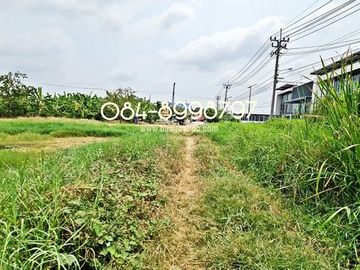 ขายที่ดิน บางพลี เนื้อที่ 10-1-24 ไร่ ต.ศรีษะจระเข้ใหญ่ บางเสาธง บางนา-ตราด กม.23 ขาออก ผังสีม่วง ติดถนนตัดใหม่ 8 เลน ใกล้สนามบินสุวรรณภูมิ ขายถูก ไร่
