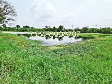 ขายที่ดิน บางพลี เนื้อที่ 10-1-24 ไร่ ต.ศรีษะจระเข้ใหญ่ บางเสาธง บางนา-ตราด กม.23 ขาออก ผังสีม่วง ติดถนนตัดใหม่ 8 เลน ใกล้สนามบินสุวรรณภูมิ ขายถูก ไร่