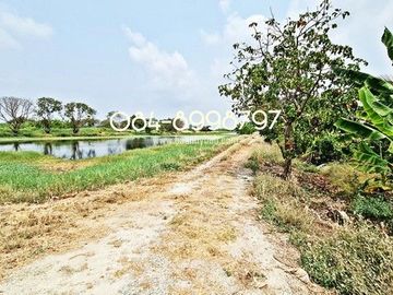 ขายที่ดิน บางพลี เนื้อที่ 10-1-24 ไร่ ต.ศรีษะจระเข้ใหญ่ บางเสาธง บางนา-ตราด กม.23 ขาออก ผังสีม่วง ติดถนนตัดใหม่ 8 เลน ใกล้สนามบินสุวรรณภูมิ ขายถูก ไร่