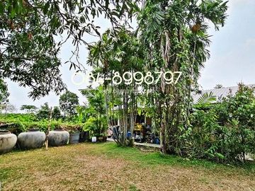 ขายที่ดิน บางพลี เนื้อที่ 10-1-24 ไร่ ต.ศรีษะจระเข้ใหญ่ บางเสาธง บางนา-ตราด กม.23 ขาออก ผังสีม่วง ติดถนนตัดใหม่ 8 เลน ใกล้สนามบินสุวรรณภูมิ ขายถูก ไร่