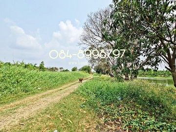 ขายที่ดิน บางพลี เนื้อที่ 10-1-24 ไร่ ต.ศรีษะจระเข้ใหญ่ บางเสาธง บางนา-ตราด กม.23 ขาออก ผังสีม่วง ติดถนนตัดใหม่ 8 เลน ใกล้สนามบินสุวรรณภูมิ ขายถูก ไร่