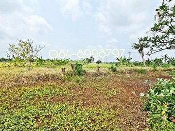 ขายที่ดิน บางพลี เนื้อที่ 10-1-24 ไร่ ต.ศรีษะจระเข้ใหญ่ บางเสาธง บางนา-ตราด กม.23 ขาออก ผังสีม่วง ติดถนนตัดใหม่ 8 เลน ใกล้สนามบินสุวรรณภูมิ ขายถูก ไร่