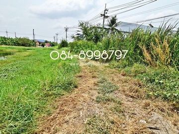 ขายที่ดิน บางพลี เนื้อที่ 10-1-24 ไร่ ต.ศรีษะจระเข้ใหญ่ บางเสาธง บางนา-ตราด กม.23 ขาออก ผังสีม่วง ติดถนนตัดใหม่ 8 เลน ใกล้สนามบินสุวรรณภูมิ ขายถูก ไร่