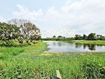 ขายที่ดิน บางพลี เนื้อที่ 10-1-24 ไร่ ต.ศรีษะจระเข้ใหญ่ บางเสาธง บางนา-ตราด กม.23 ขาออก ผังสีม่วง ติดถนนตัดใหม่ 8 เลน ใกล้สนามบินสุวรรณภูมิ ขายถูก ไร่