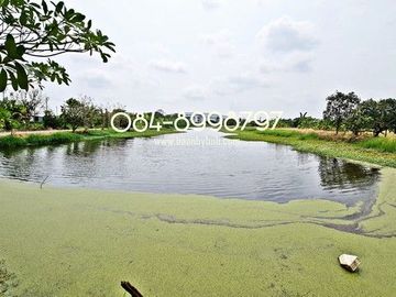 ขายที่ดิน บางพลี เนื้อที่ 10-1-24 ไร่ ต.ศรีษะจระเข้ใหญ่ บางเสาธง บางนา-ตราด กม.23 ขาออก ผังสีม่วง ติดถนนตัดใหม่ 8 เลน ใกล้สนามบินสุวรรณภูมิ ขายถูก ไร่
