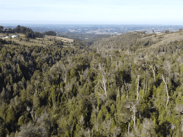Campo en venta en Río Frío de 8,6 Hectáreas Con Hermosa Vista!