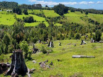 Campo en venta en Río Frío de 8,6 Hectáreas Con Hermosa Vista!