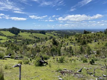 Campo en venta en Río Frío de 8,6 Hectáreas Con Hermosa Vista!