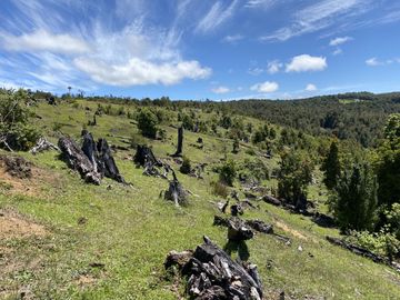 Campo en venta en Río Frío de 8,6 Hectáreas Con Hermosa Vista!