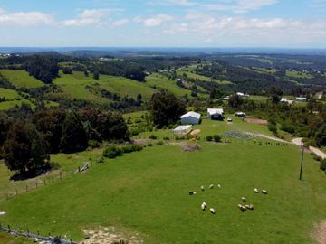 Campo en venta en Río Frío de 8,6 Hectáreas Con Hermosa Vista!