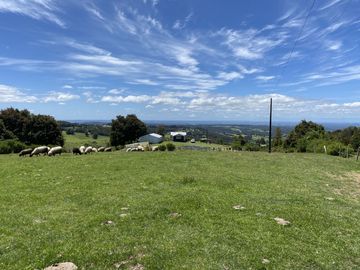 Campo en venta en Río Frío de 8,6 Hectáreas Con Hermosa Vista!