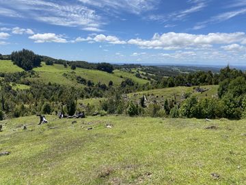 Campo en venta en Río Frío de 8,6 Hectáreas Con Hermosa Vista!