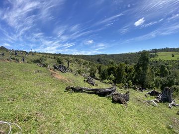 Campo en venta en Río Frío de 8,6 Hectáreas Con Hermosa Vista!