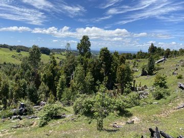 Campo en venta en Río Frío de 8,6 Hectáreas Con Hermosa Vista!