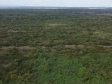 Ranchos en Venta en Tamiahua, Ideal Para Inversionistas