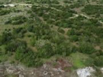 Ranchos en Venta en Tamiahua, Ideal Para Inversionistas