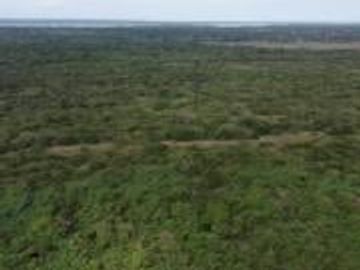 Ranchos en Venta en Tamiahua, Ideal Para Inversionistas