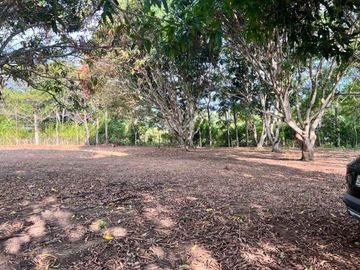 ¿Quieres construir tu casa en un lugar tranquilo, cerca de Tarapoto? Tenemos lotes disponibles, y puedes diseñar tu casa a tu gusto.