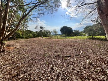 ¿Quieres construir tu casa en un lugar tranquilo, cerca de Tarapoto? Tenemos lotes disponibles, y puedes diseñar tu casa a tu gusto.
