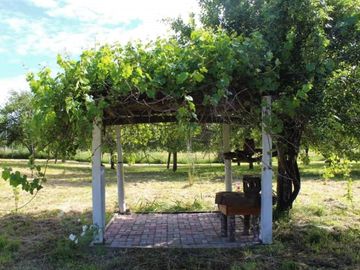 Parcela Sector Purey 7.340 mt2  $110.000.000.-