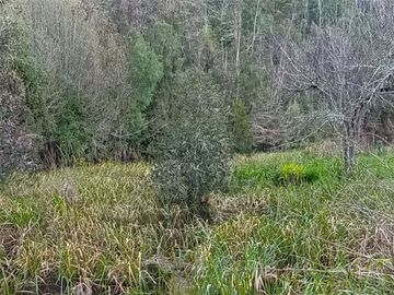 Parcela Sector Purey 7.340 mt2  $110.000.000.-