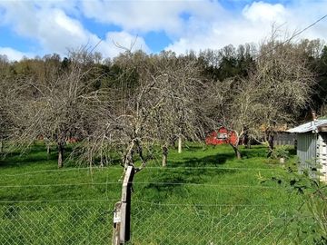 Parcela Sector Purey 7.340 mt2  $110.000.000.-