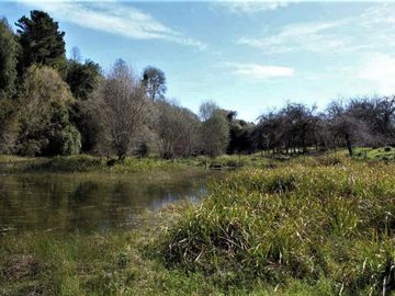 Parcela Sector Purey 7.340 mt2  $110.000.000.-