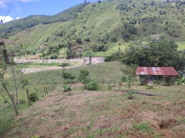 VENDO  FINCA GANADERA EN ANORÍ ANTIOQUIA.