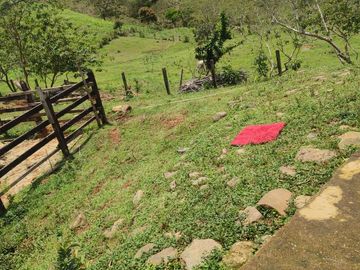VENDO  FINCA GANADERA EN ANORÍ ANTIOQUIA.