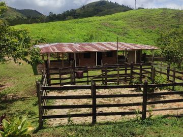 VENDO  FINCA GANADERA EN ANORÍ ANTIOQUIA.