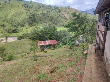 VENDO  FINCA GANADERA EN ANORÍ ANTIOQUIA.
