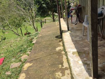 VENDO  FINCA GANADERA EN ANORÍ ANTIOQUIA.