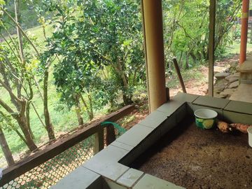 VENDO  FINCA GANADERA EN ANORÍ ANTIOQUIA.
