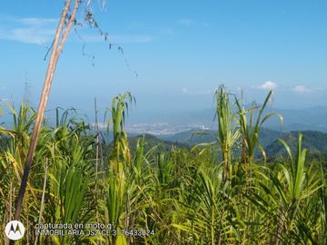 FINCAS DE 5 HAS EN MINCA CON HERMOSA VISTA DE SANTA MARTA Y SIERRA NEVADA