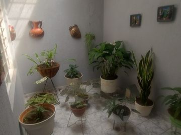 Venta de Casa en Tuluá valle barrio Victoria