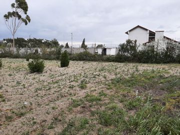 TERRENOS EN VENTA, SECTOR MALCHINGUI, TABACUNDO, $30.000, 980M2