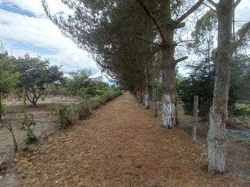 TERRENOS EN VENTA, SECTOR MALCHINGUI, TABACUNDO, $30.000, 980M2