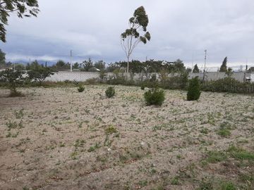TERRENOS EN VENTA, SECTOR MALCHINGUI, TABACUNDO, $30.000, 980M2