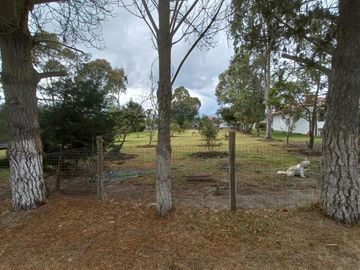 TERRENOS EN VENTA, SECTOR MALCHINGUI, TABACUNDO, $30.000, 980M2
