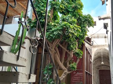 Excelente Casa Ubicada En El Centro De La Ciudad