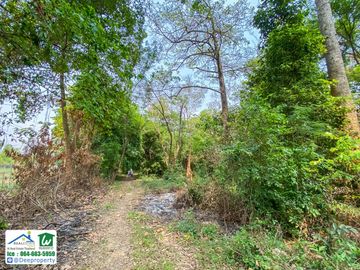 🏡 Waterfront land for sale, 23 rai, next to the Kwai Noi River, Samrong Island, Kanchanaburi, beautiful, filled in along the road