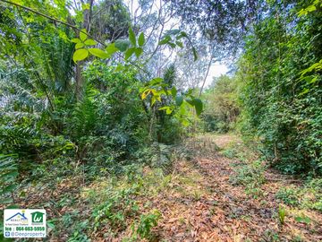 🏡 Waterfront land for sale, 23 rai, next to the Kwai Noi River, Samrong Island, Kanchanaburi, beautiful, filled in along the road