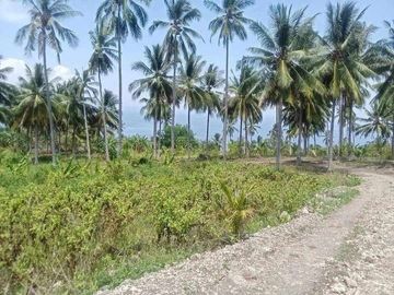 FOR SALE OVERLOOKING TITLED PROPERTY @ 500sq.m. for ONLY 350K😘 Facing Sarangani Bay and Mt. Matutum🏔️