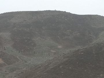 🌳 ¡Oportunidad única! Terreno de 10 hectáreas en Lurín 🌳