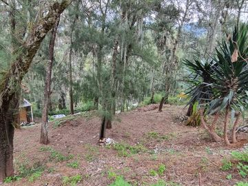 Terreno en la Peña de Valle de Bravo