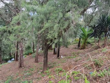 Terreno en la Peña de Valle de Bravo