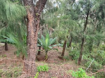 Terreno en la Peña de Valle de Bravo