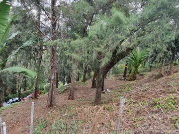 Terreno en la Peña de Valle de Bravo