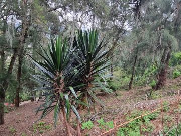 Terreno en la Peña de Valle de Bravo